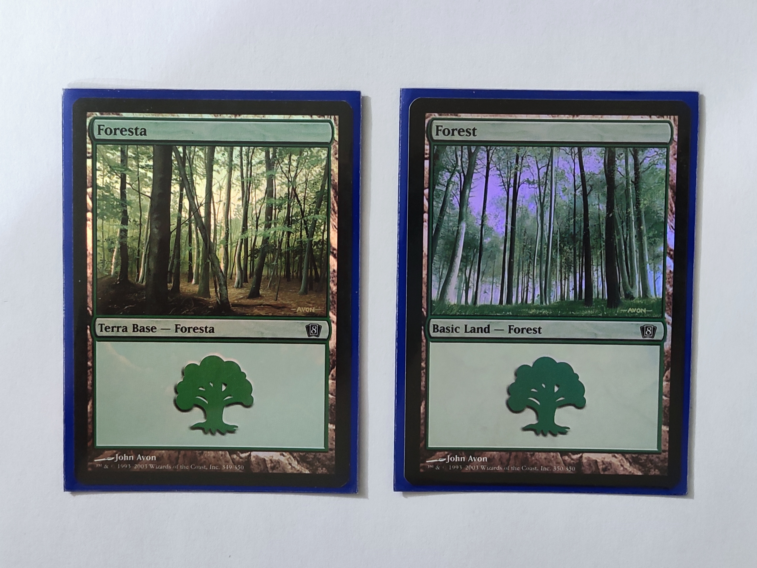 Magic the Gathering - Terra Base Foresta Foil - ITA ENG - 8 edition - MM